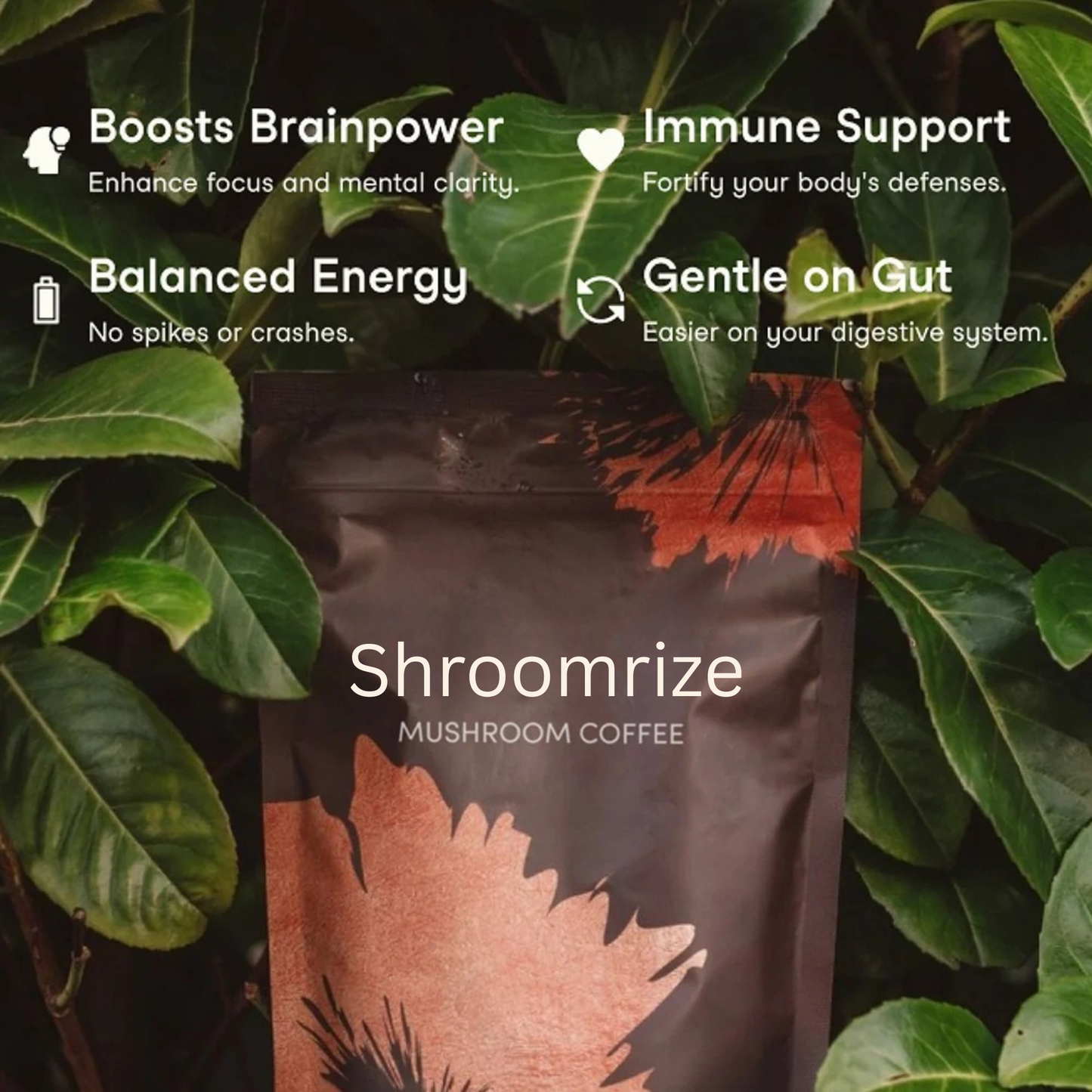 Shroomrize Mushroom Coffee