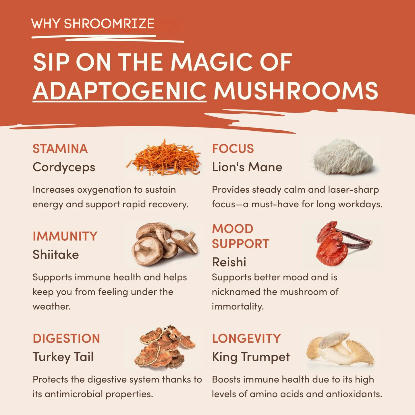 Shroomrize Mushroom Coffee