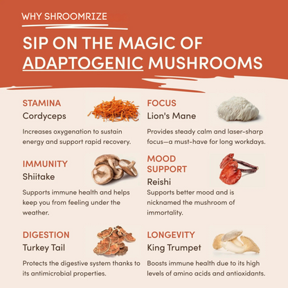 Shroomrize Mushroom Coffee